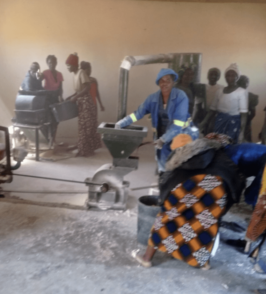 Cassava agribusiness for the women of Kasangadzi