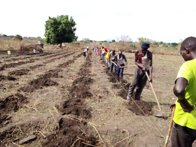 Agriculture for the Mijale community